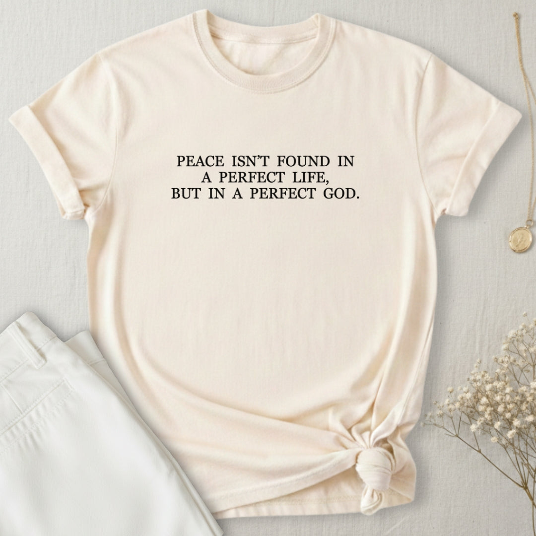 A Perfect God T-Shirt